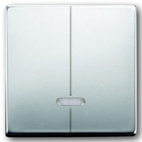Bedienelement für Busch-Memory-Seriendimmer (Edelstahl) 