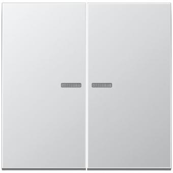 JUNG HOME Taster 2fach, Aluminium AlMg1 Naturton, mattgebeizt, Serie LS, Aluminium 