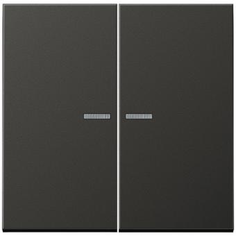 JUNG HOME Taster 2fach, Aluminium lackiert, Serie LS, anthrazit 