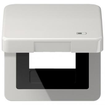 Jung Klappdeckel inkl. Zentralplatte, Symbol Charger, Serie CD (lichtgrau) 
