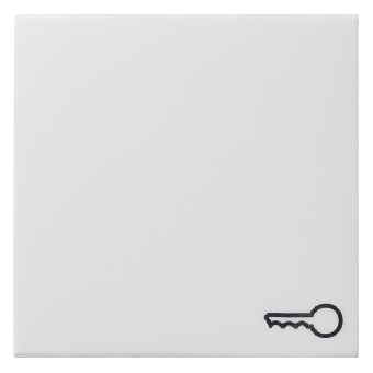 Gira Wippe mit Symbol "Schlüssel" (reinweiß, seidenmatt) 