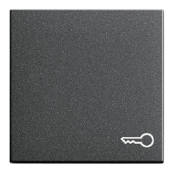 Gira Wippe mit Symbol "Schlüssel" (anthrazit) 