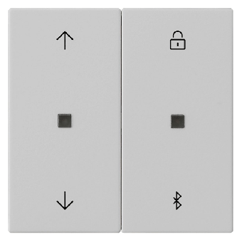 Gira System 3000 Jalousie- und Schaltuhr Bluetooth (grau, matt) 