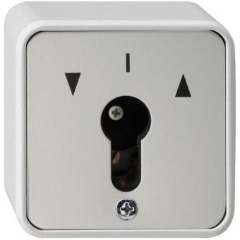 Gira IP 44 Schlüsselschalter, Tast-Rastschalter 2polig  (grau) 