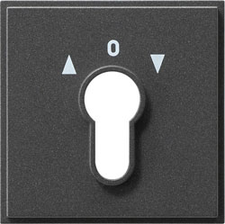 Abdeckung für Schlüsselschalter-/taster (anthrazit) 