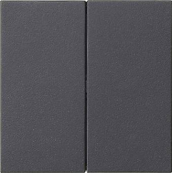 Gira System 3000 Bedienaufsatz 2fach (anthrazit) 