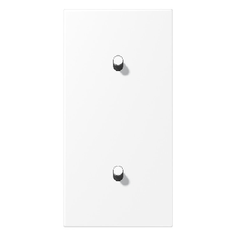 Jung Abdeckung mit 2x1 Kipphebel senkrecht Kegel (schneeweiß matt) 