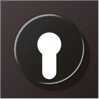 Jung Abdeckung für Schlüsselschalter (Dark) 
