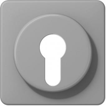 Jung Abdeckung für Schlüsselschalter (grau) 