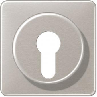Jung Abdeckung für Schlüsselschalter (platin) 