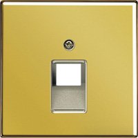 Abdeckung für IAE/UAE-Anschlussdose, 1-fach (goldfarben) 
