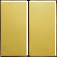 Wippe für Serienschalter, Doppel-Taster (goldfarben) 