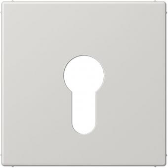 Jung Abdeckung für Schlüsselschalter (lichtgrau) 