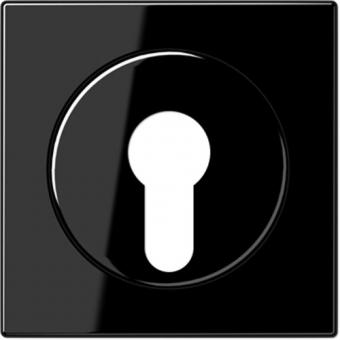 Jung Abdeckung für Schlüsselschalter (schwarz) 
