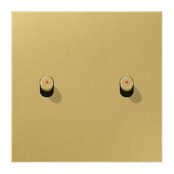 Jung  Abdeckung mit 2 Kipphebeln, mit Lichtleiter Zylinder (Messing) 