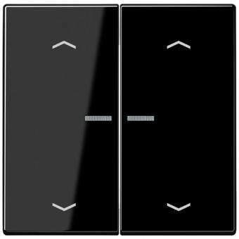 Wippe mit Lichtleiter, mit Pfeilsymbolen für Taster 2fach, Duroplast, Serie LS, schwarz 