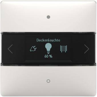 theben LUXORliving Raumcontroller iON8 