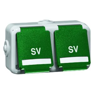 Peha - Steckdose SCHUKO 2fach, grün SV, Beschriftungsfeld 