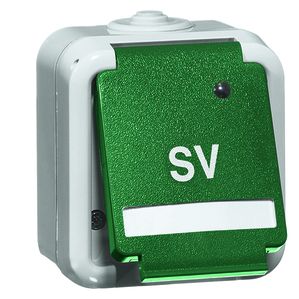 Peha - Steckdose SCHUKO, grün SV, Beschriftungsfeld, LED 