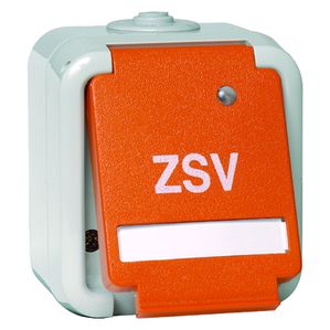 Peha - Steckdose SCHUKO, orange ZSV, Beschriftungsfeld, LED 